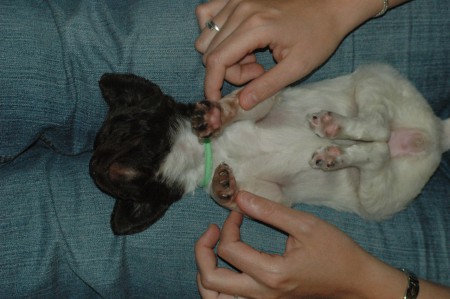 Bens Vriend Yske in extase